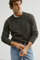 The Big Softie – Kale