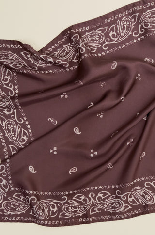 The Silk Bandana – Ruddy